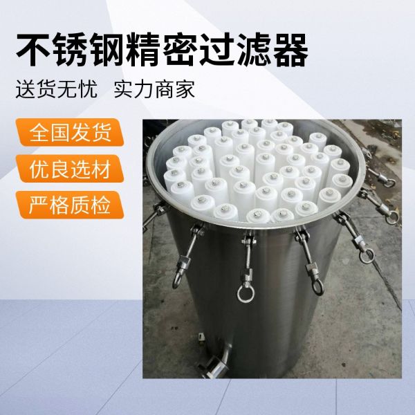 电子印染纺织不锈钢精密过滤器30寸35芯DN80法兰